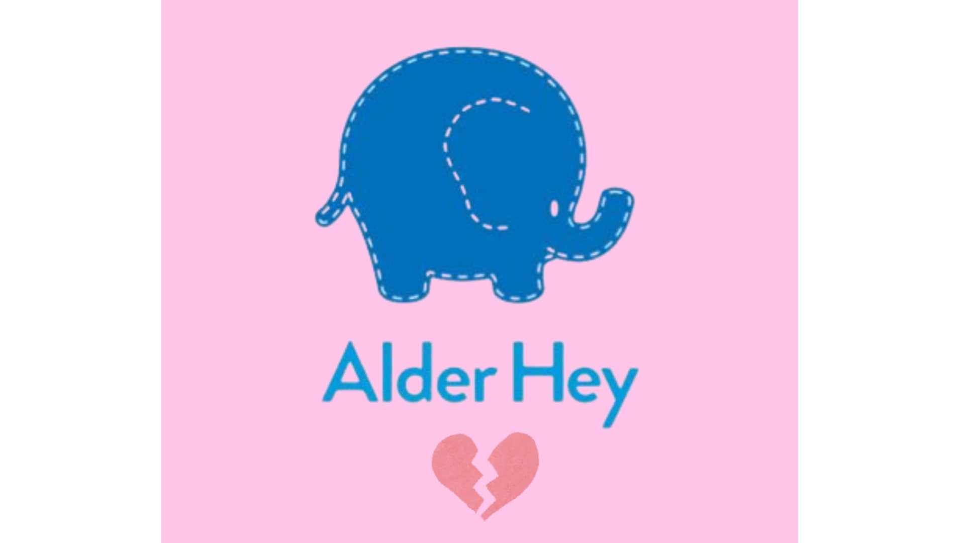 Lucy's fundraiser for Alder Hey Children's Charity